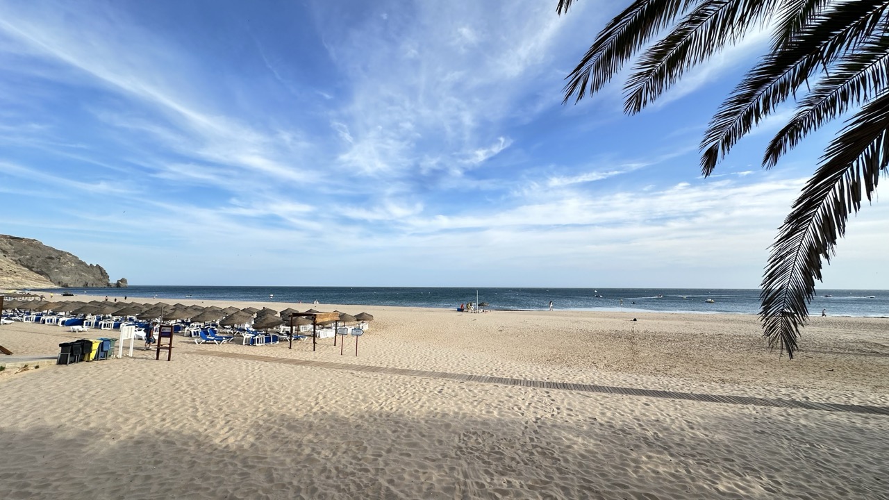 Praia da Luz com palmeira e a falésia ao fundo